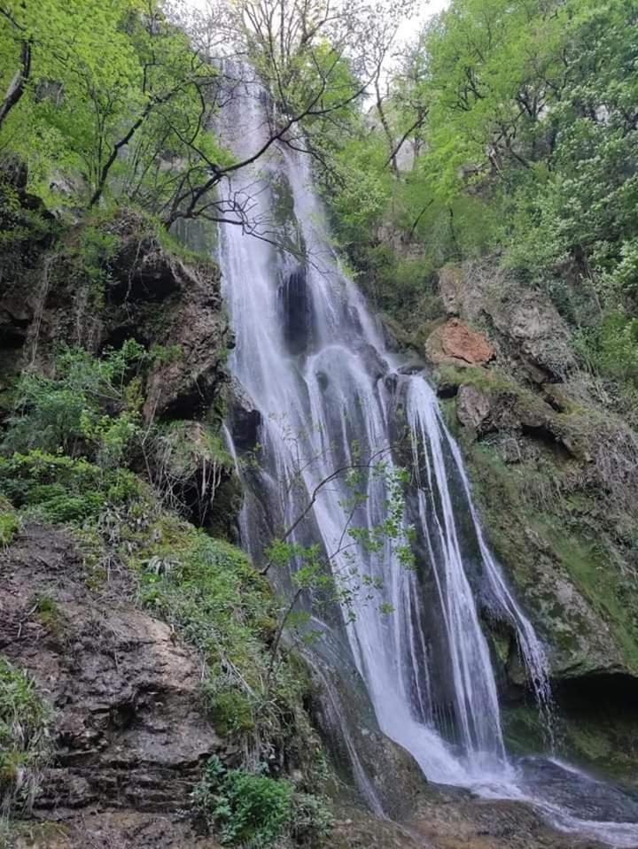La Villa Le Petit Bois, Pres Rocamadour, Padirac Lavergne  المظهر الخارجي الصورة